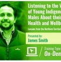 Listening to the Voices of Young Indigenous Males About Their Health and Wellbeing: Lessons from Australia