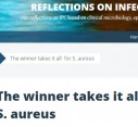 The winner takes it all  for S. aureus
