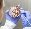 MEDIA RELEASE | Unmasking melioidosis: collaborative research needed to understand the  spread of the bacteria