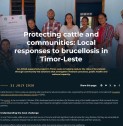 Protecting cattle and communities: Local responses to brucellosis in Timor-Leste