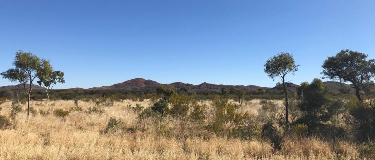 Northern Territory Gambling Project