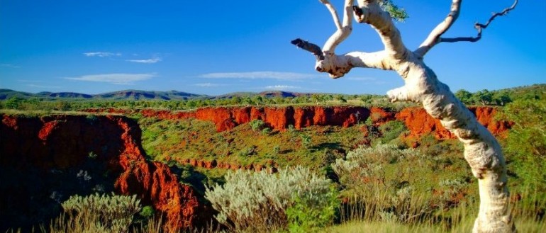 Nature-based interventions for climate and health