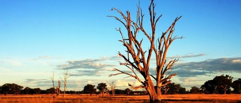 The future of the health sector in remote Australia under a changing climate