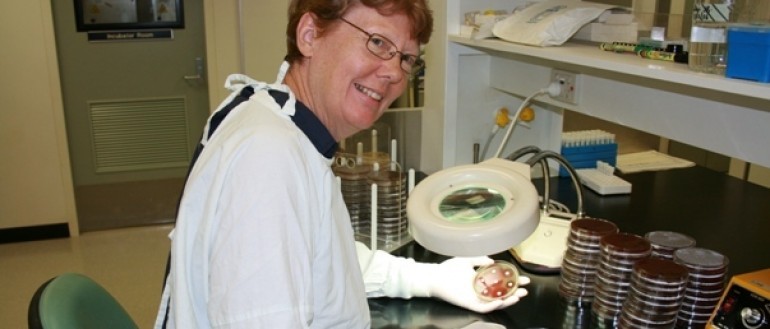 Healthy Tomorrow: Pioneering research aims to improve Indigenous lung health