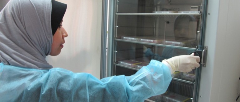 Menzies contributes to key antimalarial recommendations from global network