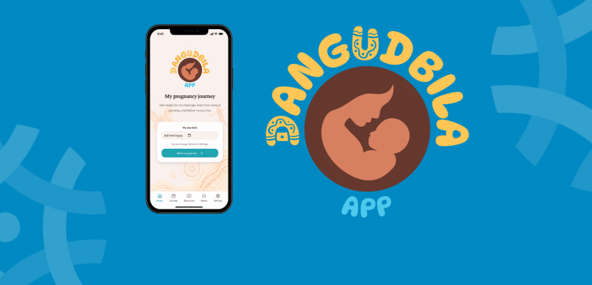 The Dangudbila App just launched
