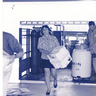 Sue Hutton lugging in to new labs 1990s
