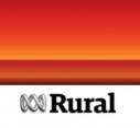 ABC NT Country Hour | Bush medicine opportunities go under the microscope