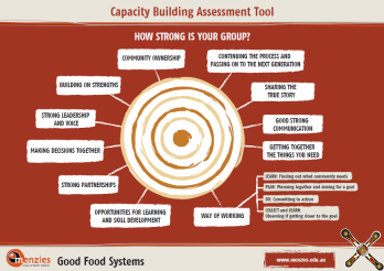 Capacity building assessment tool