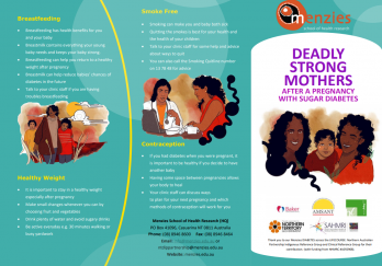 Deadly Strong Mothers brochure