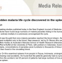 Hidden malaria life cycle discovered in the spleen