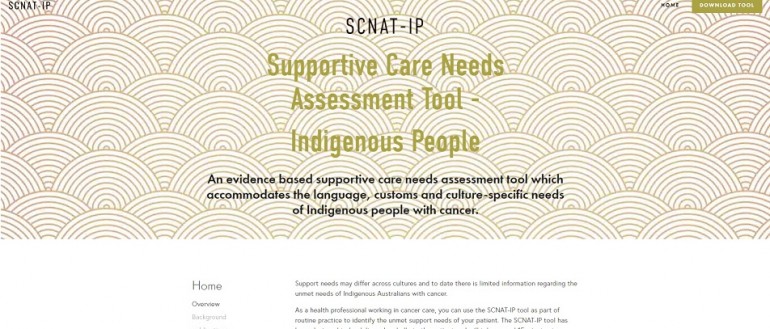 Identifying Indigenous cancer patients' needs