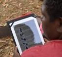 New app to improve treatment of Hepatitis B in remote Indigenous communities
