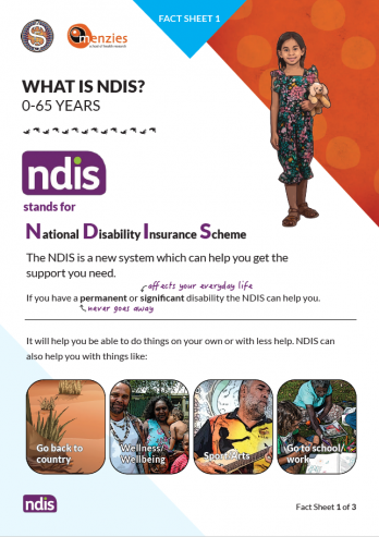 NDIS Fact Sheet 1 | What is NDIS