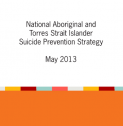 National Indigenous Suicide Prevention Strategy report